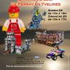 Affiche brisy lpy 2016